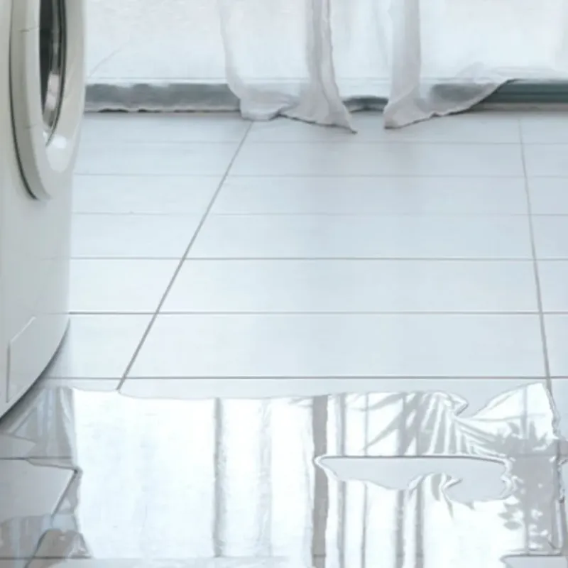 Appliance Leak Cleanup in Wilder, KY