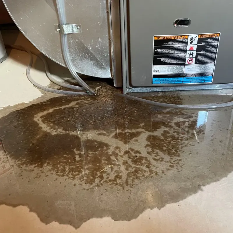 Pipe Burst and Leak Restoration in Wilder, KY