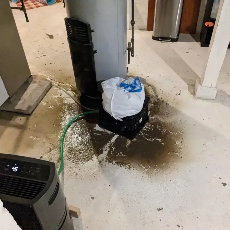 Sewage Backup Cleanup Service in Wilder, KY